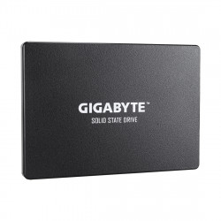1000 ГБ SSD диск GIGABYTE GP-GSTFS31100TNTD черный