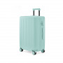 Чемодан NINETYGO Danube MAX luggage 28" (6941413223027) зелёный