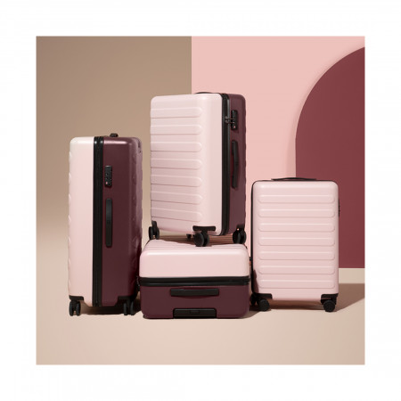 Чемодан NINETYGO Rhine Luggage 20" (6941413222006) розово-красный