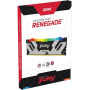 Оперативная память Kingston FURY Renegade Silver RGB (KF564C32RSA-24) 24 ГБ черно-серебристый