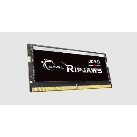Оперативная память G.Skill Ripjaws (F5-4800S3434A16GX1-RS) 16 ГБ черный