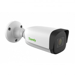 IP-камера Tiandy TC-C32WS белый