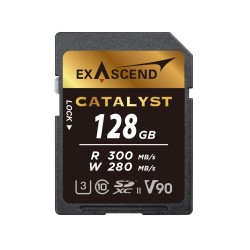 128 ГБ Карта памяти Exascend Catalyst SDXC (EX128GSDU2) черный