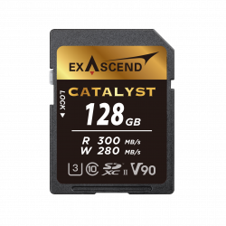 128 ГБ Карта памяти Exascend Catalyst SDXC (EX128GSDU2) чёрный