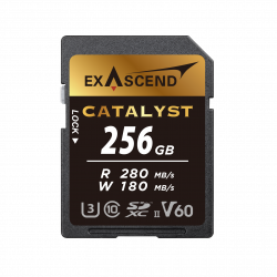 256 ГБ Карта памяти Exascend Catalyst SDXC (EX256GSDV60) чёрный