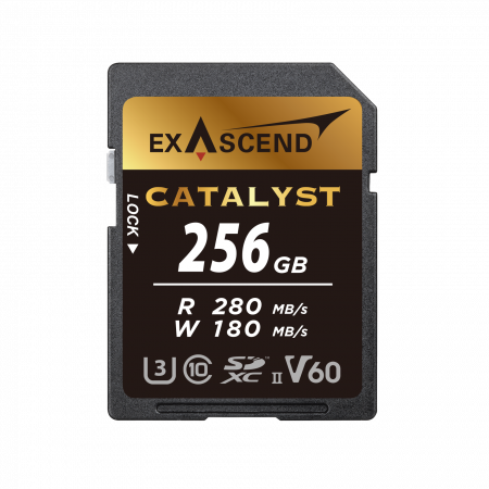 256 ГБ Карта памяти Exascend Catalyst SDXC (EX256GSDV60) чёрный