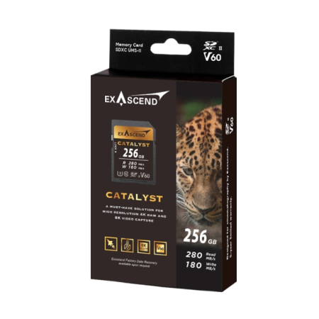 256 ГБ Карта памяти Exascend Catalyst SDXC (EX256GSDV60) чёрный