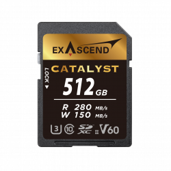 512 ГБ Карта памяти Exascend Catalyst SDXC (EX512GSDV60) чёрный