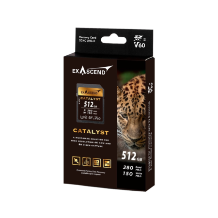 512 ГБ Карта памяти Exascend Catalyst SDXC (EX512GSDV60) чёрный