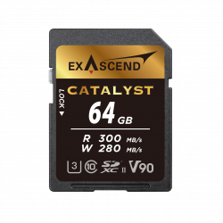 64 ГБ Карта памяти Exascend Catalyst SDXC (EX64GSDU2) чёрный