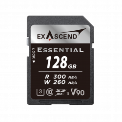 128 ГБ Карта памяти Exascend Essential SDXC (EX128GSDU2-S) черный