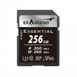 256 ГБ Карта памяти Exascend Essential SDXC (EX256GSDU2-S) черный