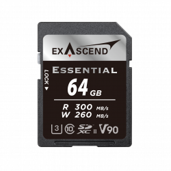 64 ГБ Карта памяти Exascend Essential SDXC (EX64GSDU2-S) черный