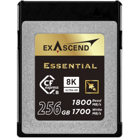 256 ГБ Карта памяти Exascend Essential CF (EXPC3E256GB) черный