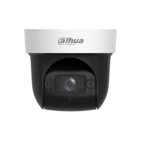 IP-камера Dahua DH-SD29204DB-GNY белый