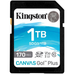 1024 ГБ Карта памяти Kingston Canvas Go! Plus SDXC (SDG3/1TB) черный
