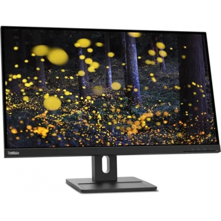 27" Монитор Lenovo ThinkVision E27q-20 (62D0GAT1EU) чёрный