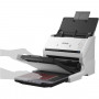 Сканер Epson WorkForce DS-530II (B11B261401) белый