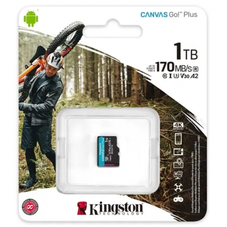 1024 ГБ Карта памяти Kingston Canvas Go! Plus microSDXC (SDCG3/1TBSP) чёрный