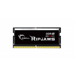 Оперативная память G.Skill RipJaws (F5-5600S4645A16GX1-RS) 16 ГБ чёрный