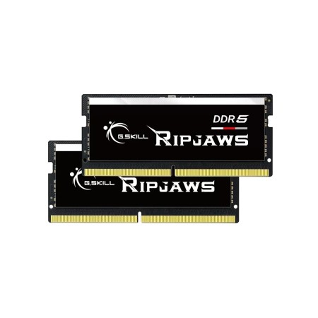 Оперативная память G.Skill Ripjaws (F5-5600S4645A32GX2-RS) 64 ГБ чёрный