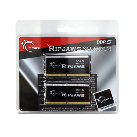 Оперативная память G.Skill Ripjaws (F5-5600S4645A32GX2-RS) 64 ГБ чёрный