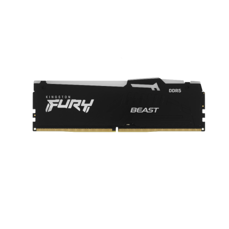 Оперативная память Kingston FURY Beast Black RGB EXPO (KF552C36BBEA-16) 16 ГБ чёрный