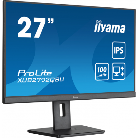 27" Монитор Iiyama ProLite XUB2792HSU-B6 чёрный