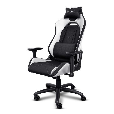 Кресло игровое Trust GXT714R Ruya (25065) бело-черный