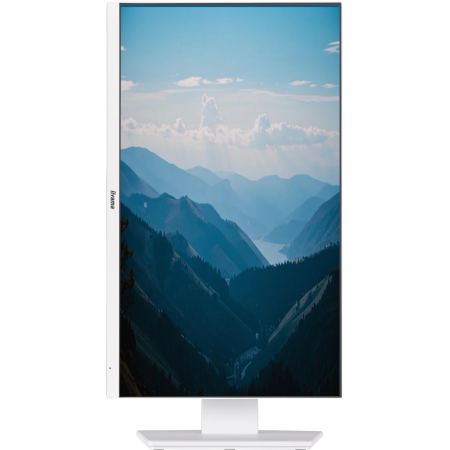 23.8" Монитор Iiyama ProLite XUB2492HSU-W6 белый