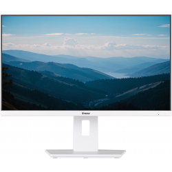 23.8" Монитор Iiyama ProLite XUB2492HSU-W6 белый