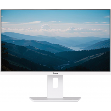 23.8" Монитор Iiyama ProLite XUB2492HSU-W6 белый