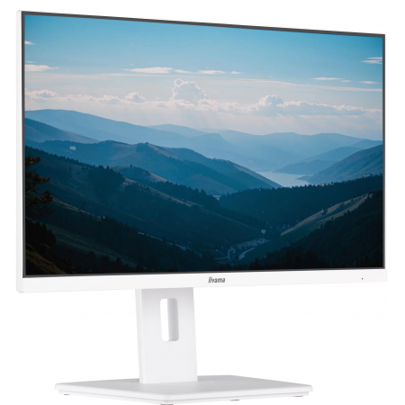 23.8" Монитор Iiyama ProLite XUB2492HSU-W6 белый