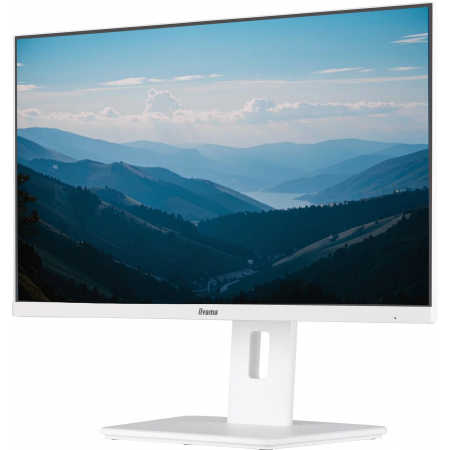 23.8" Монитор Iiyama ProLite XUB2492HSU-W6 белый