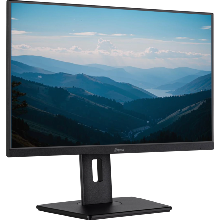 23.8" Монитор Iiyama ProLite XUB2492HSU-B6 черный