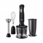 Блендер погружной Russell Hobbs 24702-56 черный