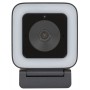 Веб-камера Hikvision DS-UL2 черный