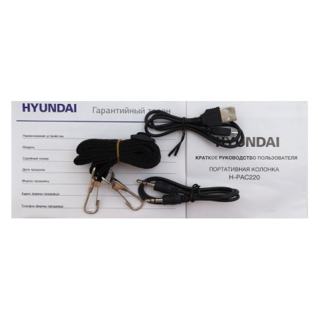 Колонки Hyundai H-PAC220 черный