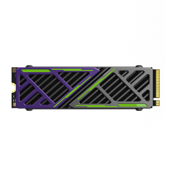 512 ГБ SSD диск HikSemi (HS-SSD-FUTUREX 512G) черный