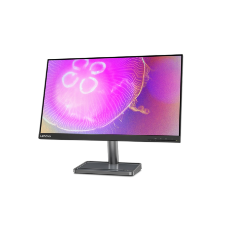 23.8" Монитор Lenovo L24q-35 (66D1GAC1EU) чёрный