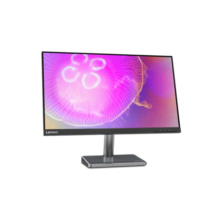 23.8" Монитор Lenovo L24q-35 (66D1GAC1EU) чёрный