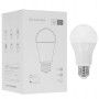 Лампочка Ritmix SLA-1077 Tuya (80001102) белый