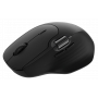 Мышь беспроводная Rapoo MT560 чёрный