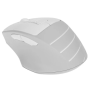 Мышь беспроводная A4Tech Fstyler FG30S (FG30S-WHITE) белый
