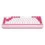 Клавиатура беспроводная A4Tech Fstyler FBK30 (FBK30-Raspberry) розовый