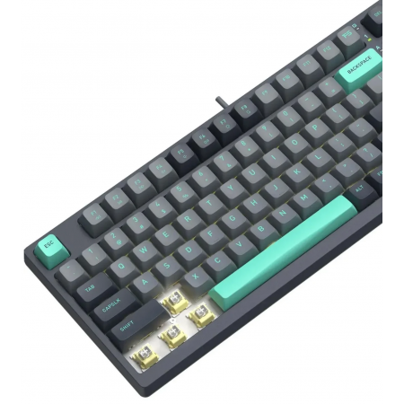 Клавиатура проводная A4Tech Fstyler FS300 (FS300 Panda Rock Climbing) чёрный