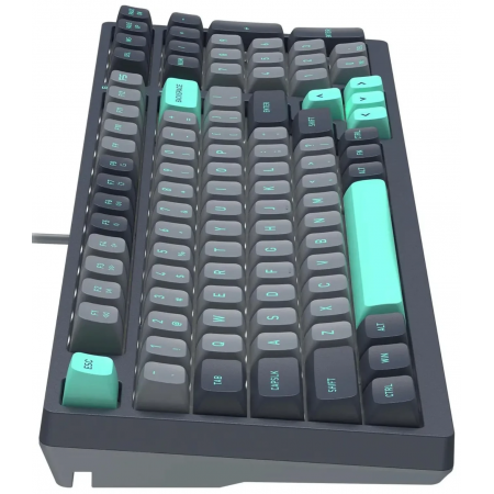 Клавиатура проводная A4Tech Fstyler FS300 (FS300 Panda Rock Climbing) чёрный