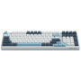 Клавиатура проводная A4Tech Fstyler FS300 (FS300 Panda Snowboarding) белый