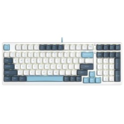 Клавиатура проводная A4Tech Fstyler FS300 (FS300 Panda Snowboarding) белый