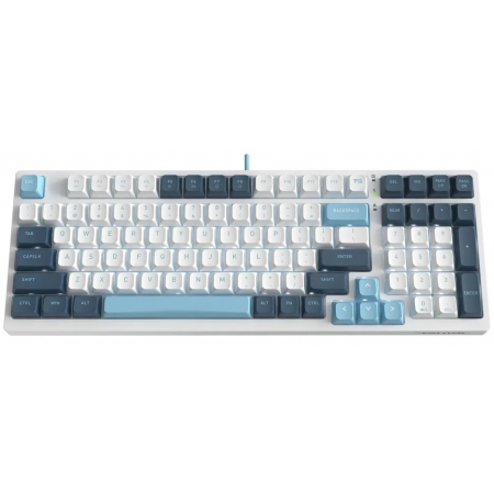 Клавиатура проводная A4Tech Fstyler FS300 (FS300 Panda Snowboarding) белый